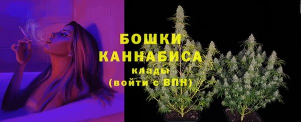 стафф Ступино