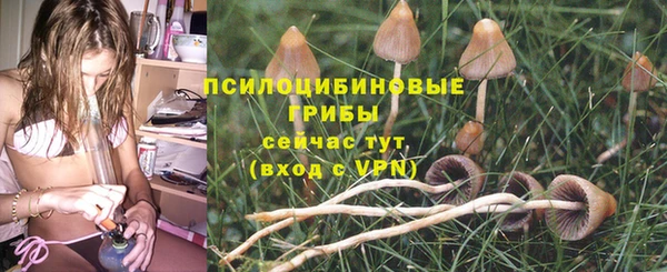 стафф Ступино