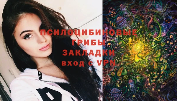 стафф Ступино