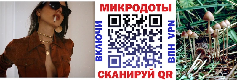 Псилоцибиновые грибы мухоморы  Купить где  Сысерть 